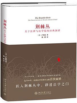荆棘丛封面图片