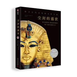 尘封的盛世封面图片