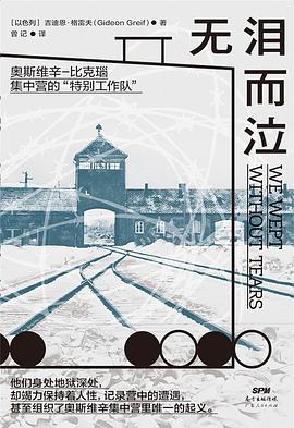 无泪而泣封面图片