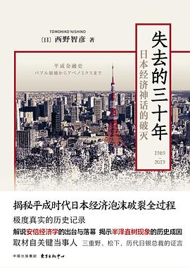 失去的三十年封面图片