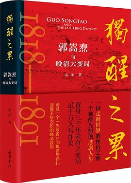 独醒之累封面图片