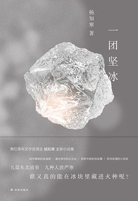 一团坚冰封面图片