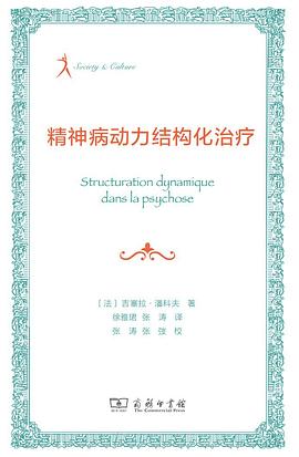 精神病动力结构化治疗封面图片