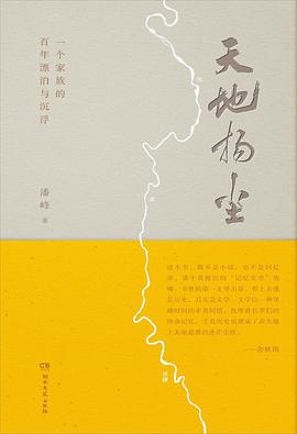 天地扬尘封面图片