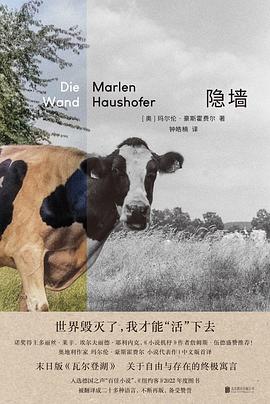 隐墙封面图片