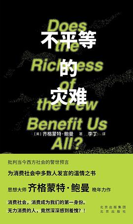 不平等的灾难封面图片