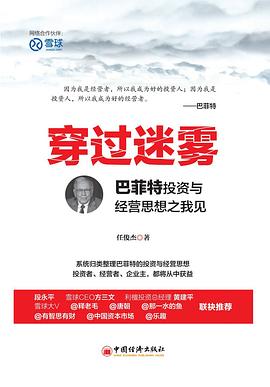 穿过迷雾封面图片