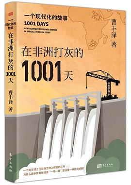 在非洲打灰的1001天：一个现代化的故事封面图片