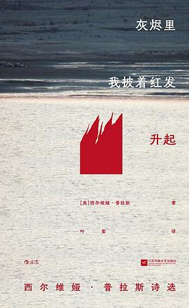 灰烬里我披着红发升起封面图片