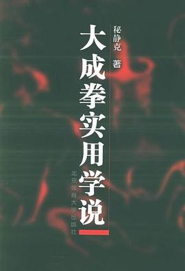 大成拳实用学说封面图片