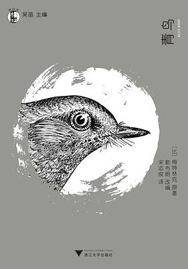 青鸟封面图片