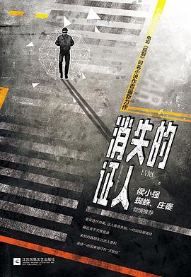 消失的证人封面图片