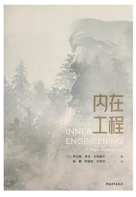内在工程封面图片