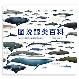 图说鲸类百科封面图片