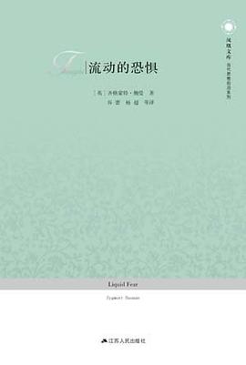 流动的恐惧封面图片