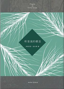 听客溪的朝圣封面图片
