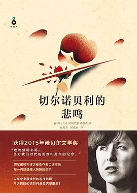 切尔诺贝利的悲鸣封面图片