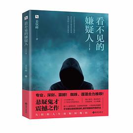 看不见的嫌疑人封面图片