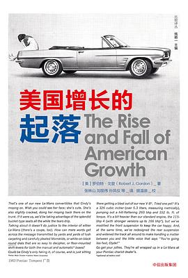美国增长的起落封面图片