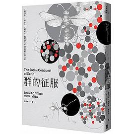 群的征服封面图片