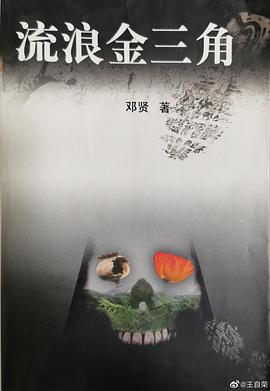 流浪金三角封面图片