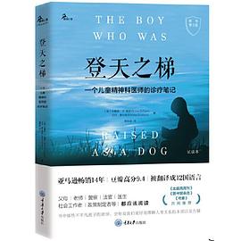 登天之梯(原书第3版)封面图片