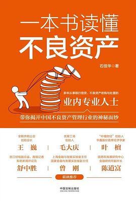 一本书读懂不良资产封面图片