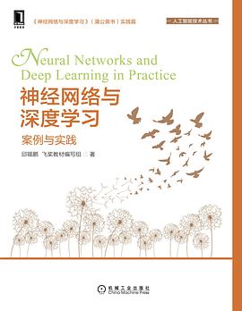 神经网络与深度学习：案例与实践封面图片