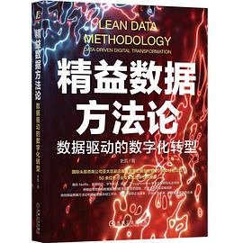 精益数据方法论：数据驱动的数字化转型封面图片