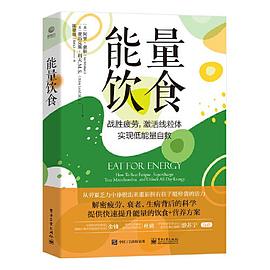 能量饮食封面图片