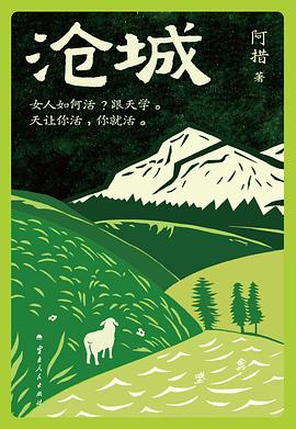 沧城封面图片