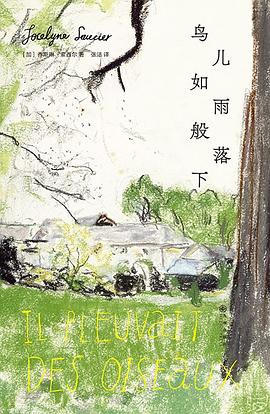 鸟儿如雨般落下封面图片