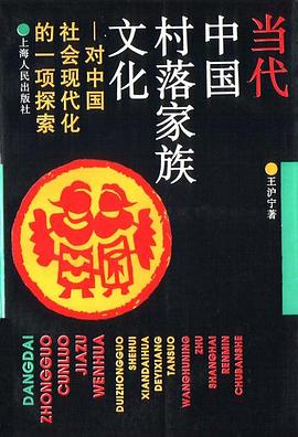 当代中国村落家族文化封面图片