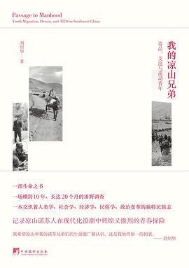 我的凉山兄弟封面图片