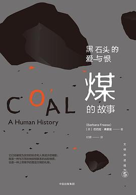 黑石头的爱与恨：煤的故事封面图片
