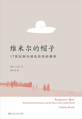 维米尔的帽子封面图片