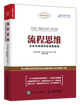 流程思维：企业可持续改进实践指南封面图片