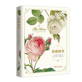 蔷薇秘事封面图片