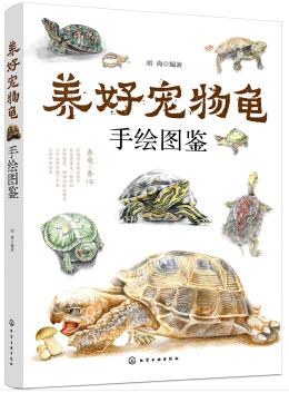 养好宠物龟手绘图鉴封面图片