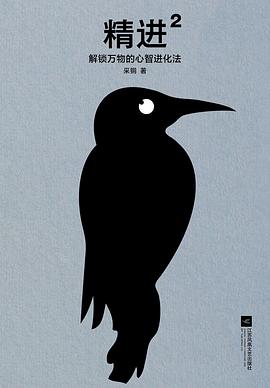 精进2封面图片
