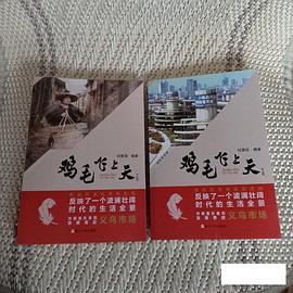 鸡毛飞上天封面图片