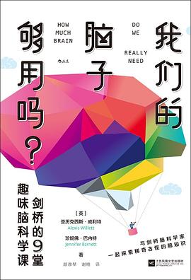 我们的脑子够用吗？封面图片
