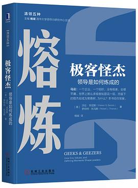极客怪杰：领导是如何炼成的封面图片