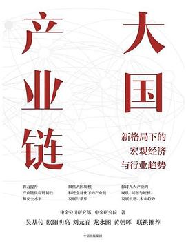 大国产业链封面图片