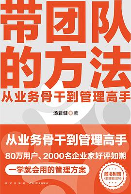 带团队的方法封面图片