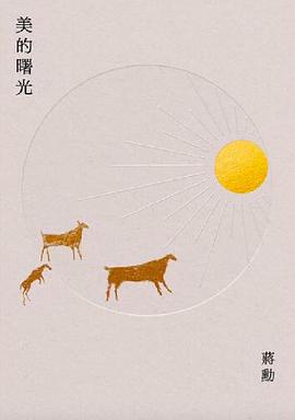 美的曙光封面图片