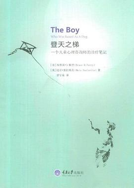 登天之梯封面图片